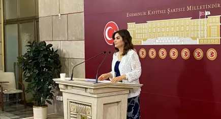 DEM Parti'den komisyon açıklaması!