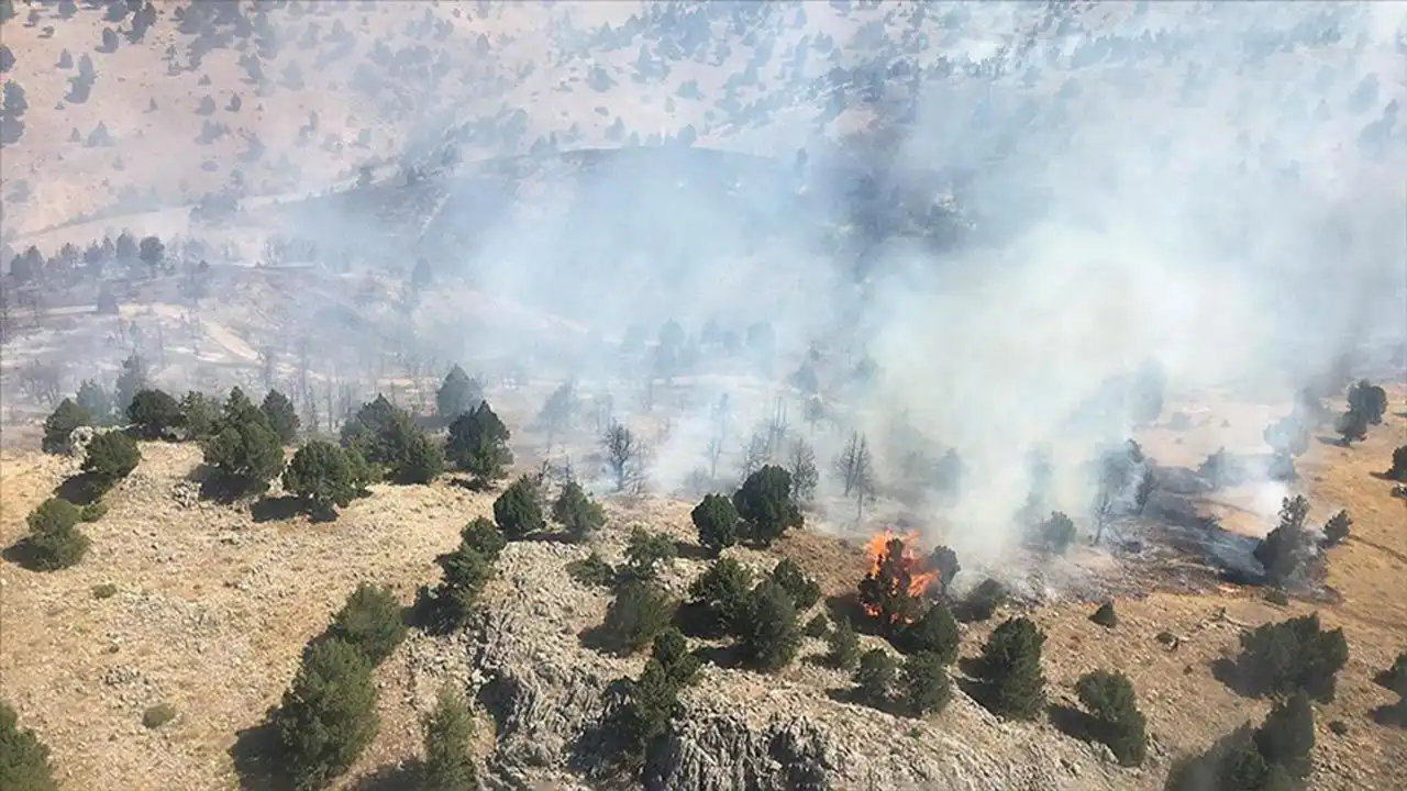 Kahramanmaraş'ta orman yangını!