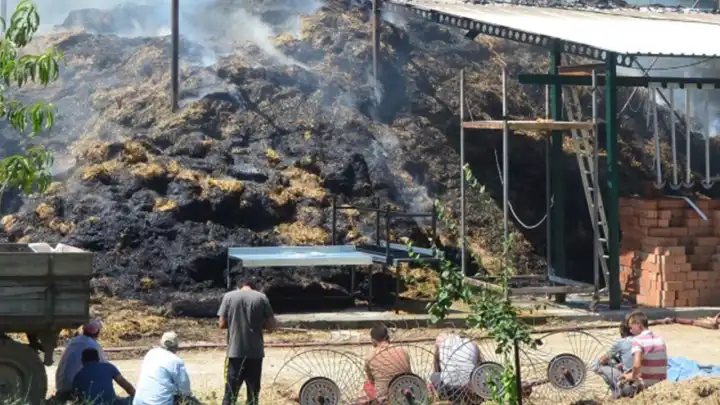 Kırklareli'de ot yangını ahıra sıçradı: 20 küçükbaş telef oldu