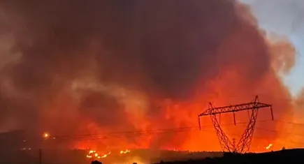 Manisa'da orman yangını: 16 saatte kontrol altına alındı.