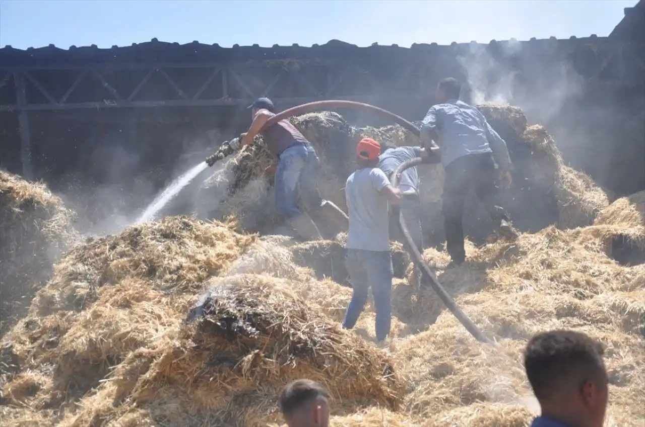 Ödemiş’te çiftlik yangını: 16 büyükbaş telef oldu