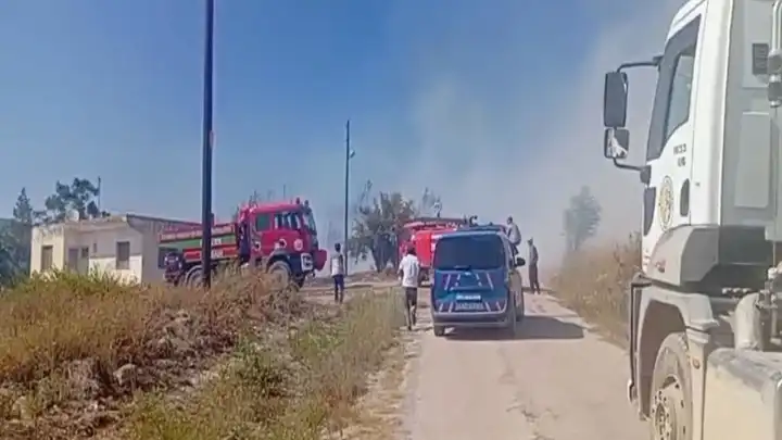 Osmaniye'de orman yangını:  Alevler rüzgarın etkisiyle kısa sürede yayıldı!