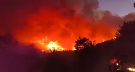 Hatay Hassa'da orman yangını!