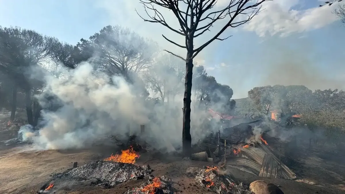 İzmir haber: Bergama&#039;da yangın! haberinin görseli