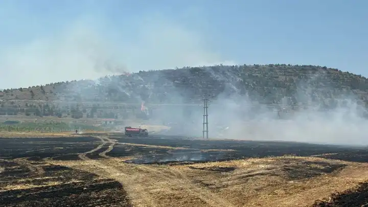 Konya’da yangın paniği: Anız yangını ormana sıçradı