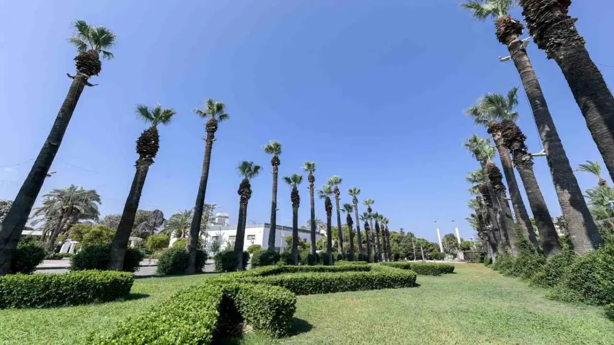 Kültürpark’ın palmiyeleri yapay zeka desteği ile güvende haberinin görseli