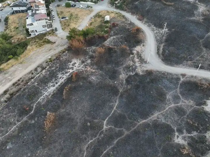 yangın