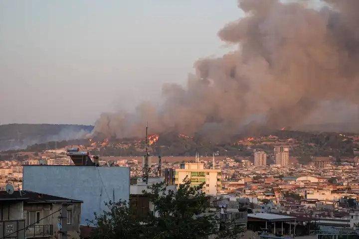 yangın