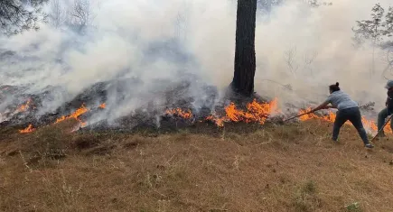 Çanakkale ve Osmaniye’de orman yangınlarına havadan ve karadan müdahale