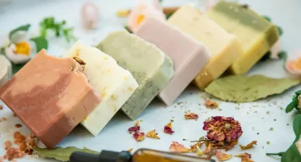 Görünüşte masum ama evde gizli bir tehlike barındırıyor: Kimse konuşmuyor