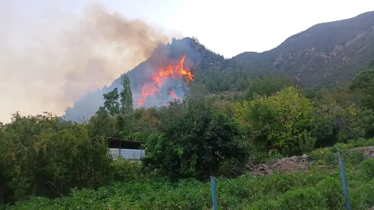 Hatay Kırıkhan&#039;da orman yangını! haberinin görseli