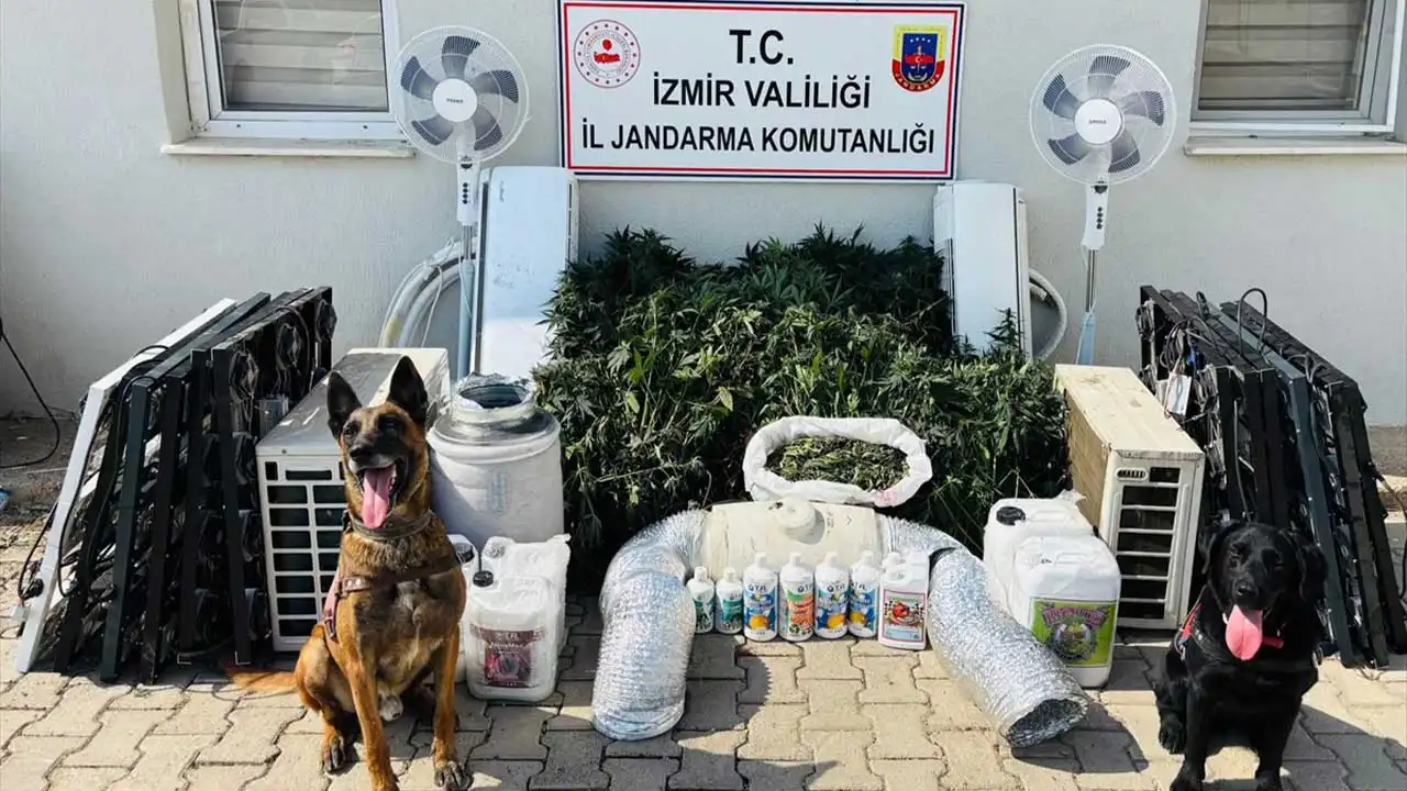 İzmir’de uyuşturucu operasyonu: 1 kişi gözaltına alındı