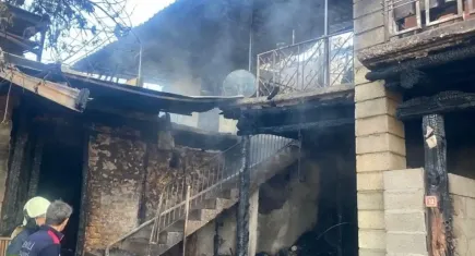 Muğla'da 14 küçükbaş hayvan telef oldu
