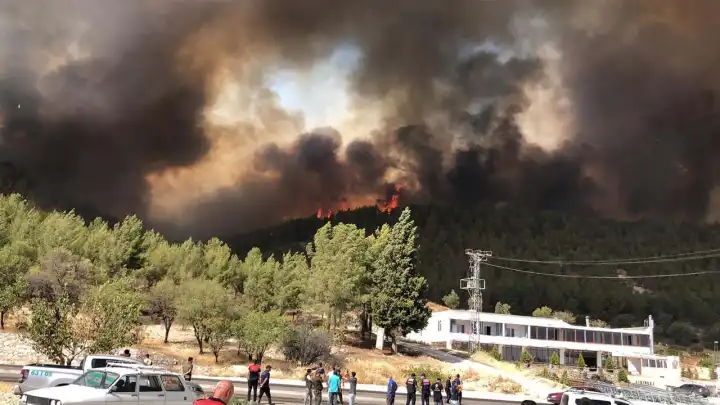 Adıyaman Besni'de yangın!