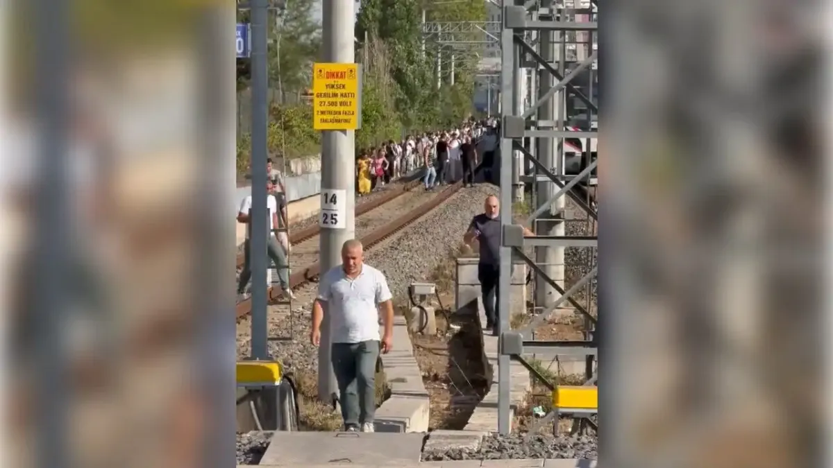 Marmaray&#039;da rayların üzerine ağaç devrildi! haberinin görseli