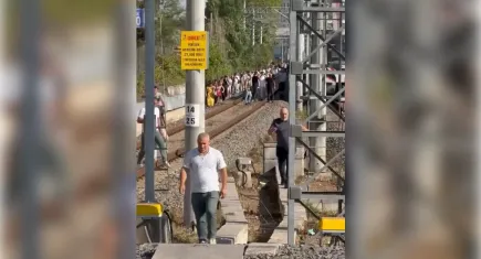 Marmaray'da rayların üzerine ağaç devrildi!