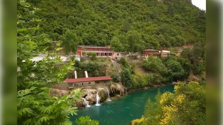 Resmi Gazete'de yayımlandı: O alanlarda hayvan bakımevleri kurulacak