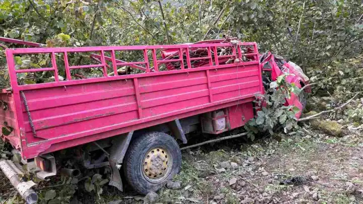 Giresun’da katliam gibi kaza: Kamyonet şarampole yuvarlandı! 4 ölü, 1 yaralı