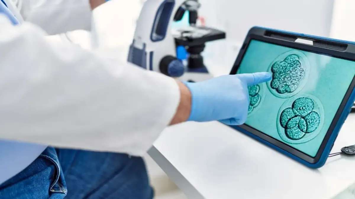 İnsan embriyosunun rahme tutunma anı ilk kez gerçek zamanlı görüntülendi: Bilim dünyasında çığır açan keşif haberinin görseli