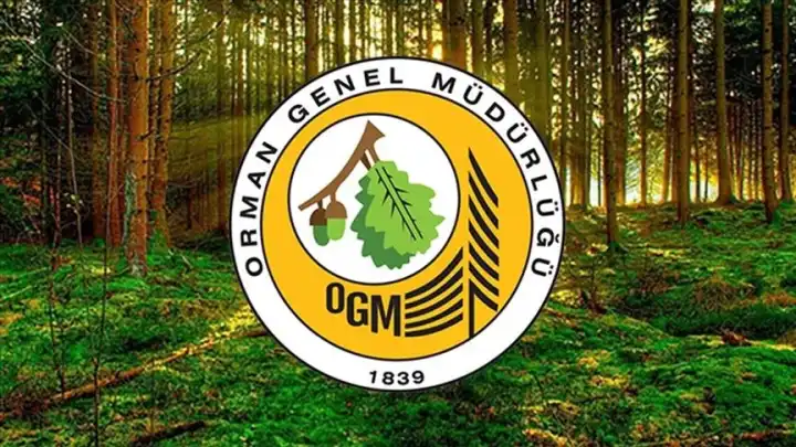 OGM’den yangın sonrası ormanlaştırma açıklaması