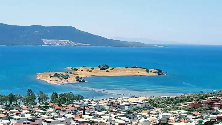 saplı ada