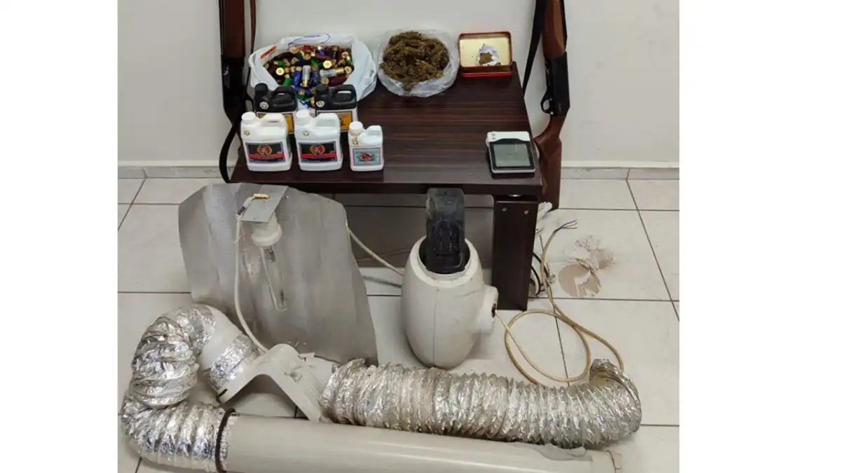 İzmir haber: Dağ evinde kenevir serasına baskın  haberinin görseli