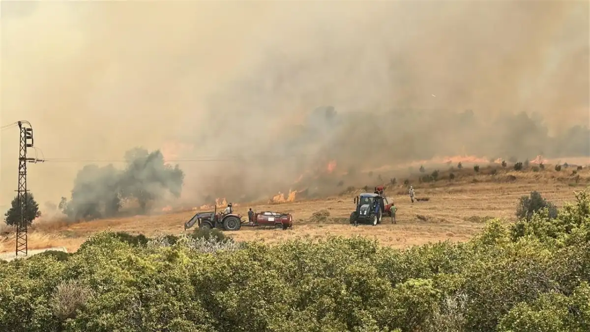 Çanakkale’de orman küle döndü, o ceviz bahçesi sapasağlam kaldı! haberinin görseli