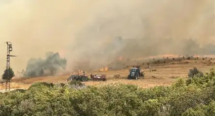 Çanakkale’de orman küle döndü, o ceviz bahçesi sapasağlam kaldı!