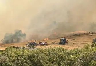 Çanakkale’de orman küle döndü, o ceviz bahçesi sapasağlam kaldı!
