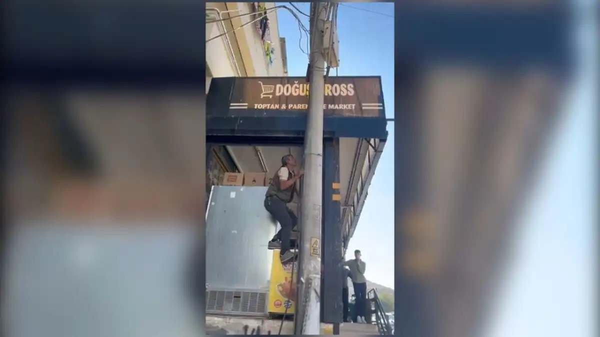 Direğe çıkan elektrik ustası akıma kapıldı ! Günler sonra yaşam savaşını kaybetti... haberinin görseli