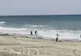 Karaburun sahilinde kaybolan Nurettin’den 5 gündür haber yok! Arama çalışmaları sürüyor..