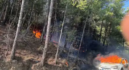 Muğla'da orman yangını: Otomobilde çıkıp ormana sıçradı