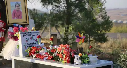 Narin'in katledilmesin üzerinden bir yıl geçti!