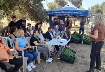 Çamlı’da şeker otu fideleri toprakla buluştu… Sağlıklı gazozlar büyük ilgi gördü