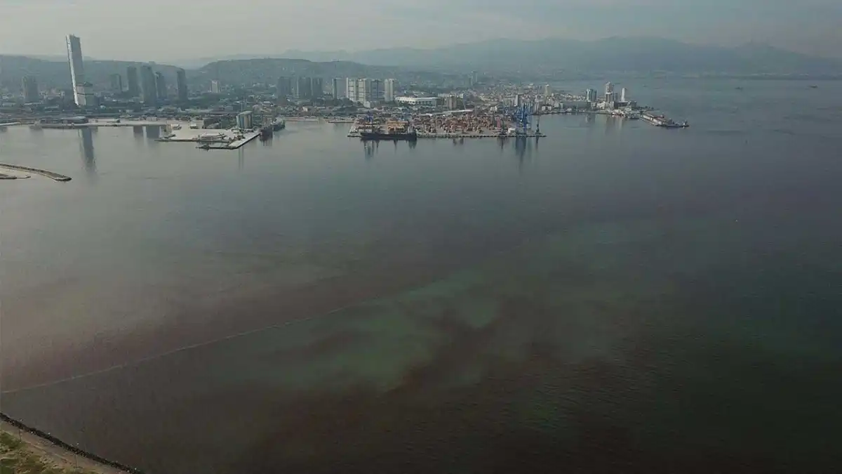 İzmir Körfezi’ndeki kötü kokuya siyanobakteriler neden oluyor haberinin görseli