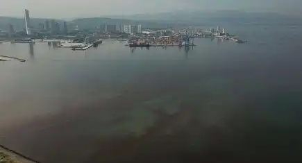 İzmir Körfezi’ndeki kötü kokuya siyanobakteriler neden oluyor