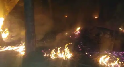 Muğla'da orman yangını: 1 hektarlık alan zarar gördü