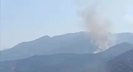 Muğla Seydikemer'de yangın!