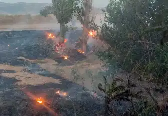 Ödemiş'te otluk alanda çıkan yangın kontrol altına alındı