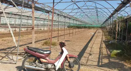 Antalya Finike’de kanlı sera baskını: Pompalı tüfekle iki kişi öldürüldü, zanlı kaçtı