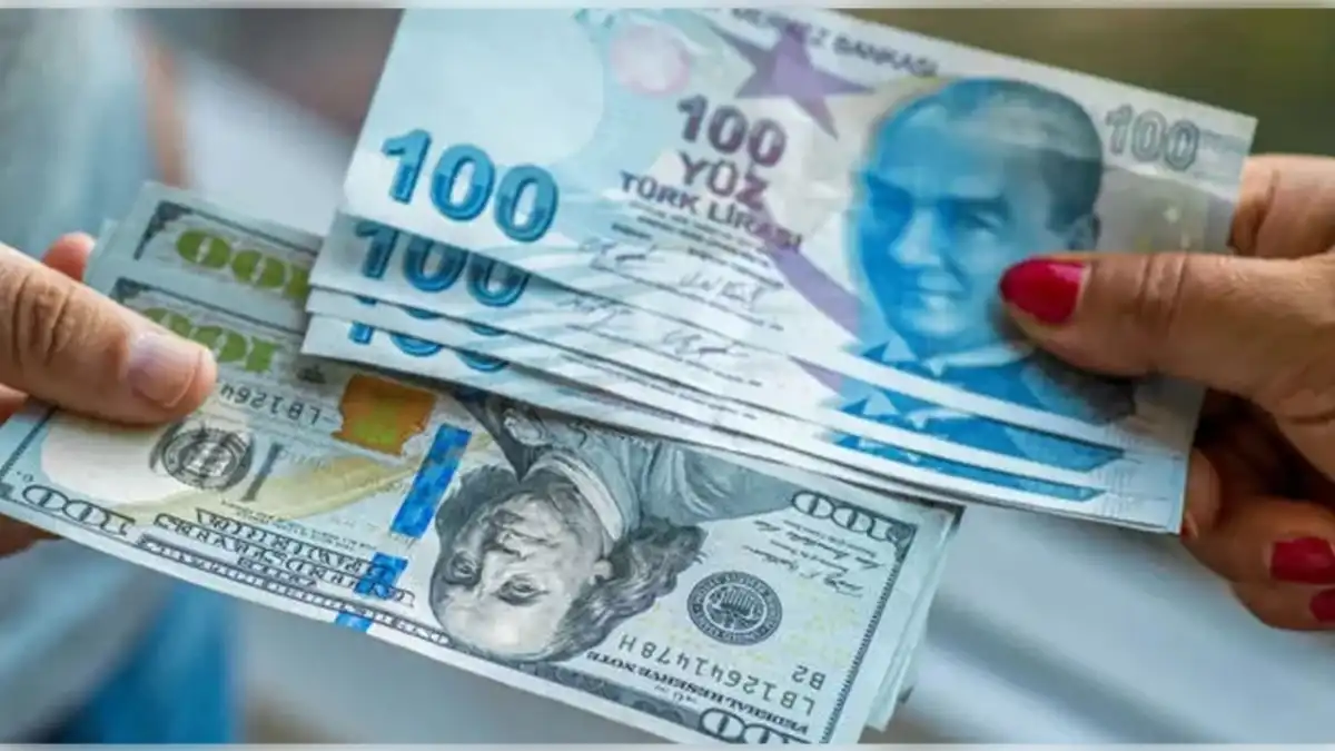 Ekonomist Eğilmez uyardı: Yeni risk Carry Trade haberinin görseli