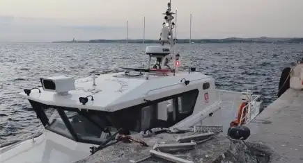 Feribotta intihar girişimi: Denize atlayan kadın böyle kurtarıldı