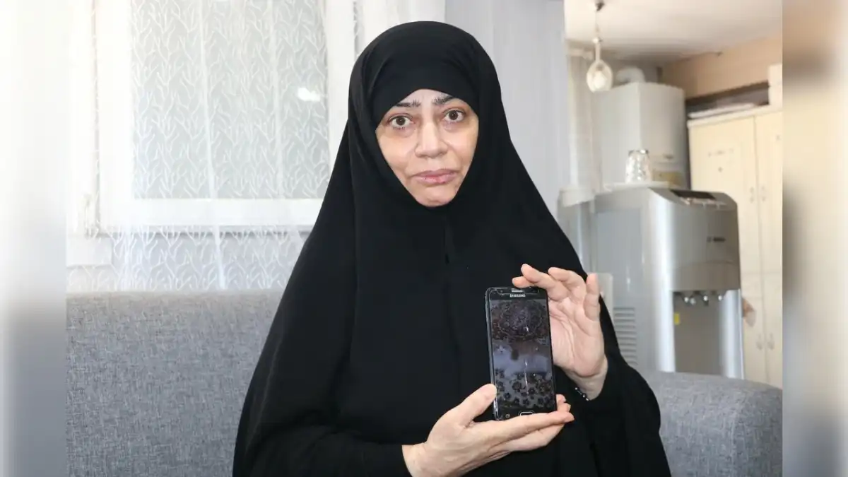 Kayıp kedisi için ödül koydu: ‘Biri aldıysa rica ediyorum getirsin’ haberinin görseli