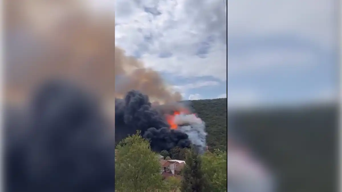 Kocaeli&#039;de orman yangını! haberinin görseli