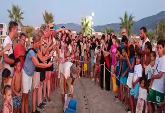 Kuşadası'nda caretta caretta yavruları denizle buluştu