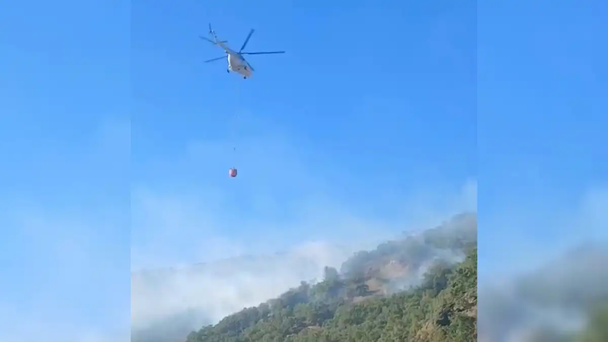 Malatya Doğanyol’daki orman yangını kontrol altına alındı haberinin görseli
