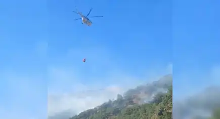 Malatya Doğanyol’daki orman yangını kontrol altına alındı