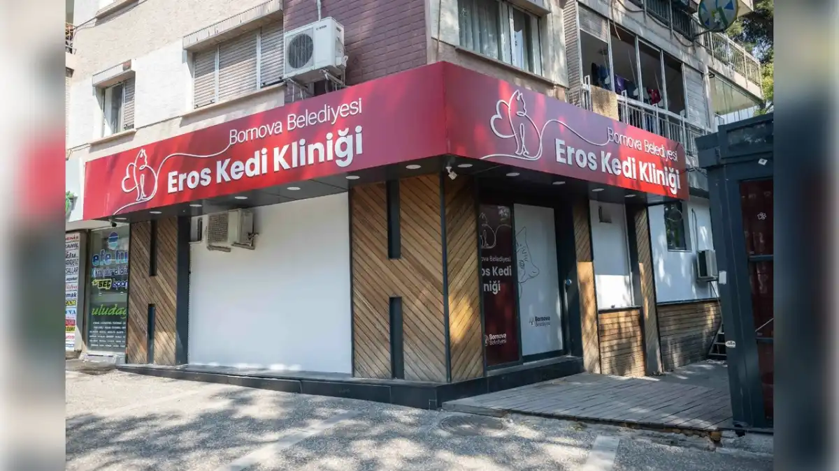 Bornova Belediyesi’nden sokak kedilerine özel klinik haberinin görseli