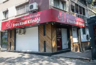 Bornova Belediyesi’nden sokak kedilerine özel klinik