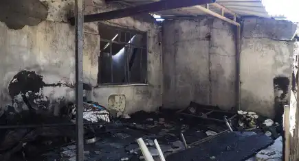 İzmir Çiğli’de baraka yangını: 34 küçükbaş hayvan telef oldu